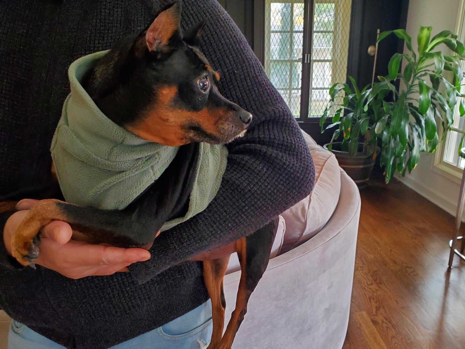 Snuggly Fleece | Sea Monster Green